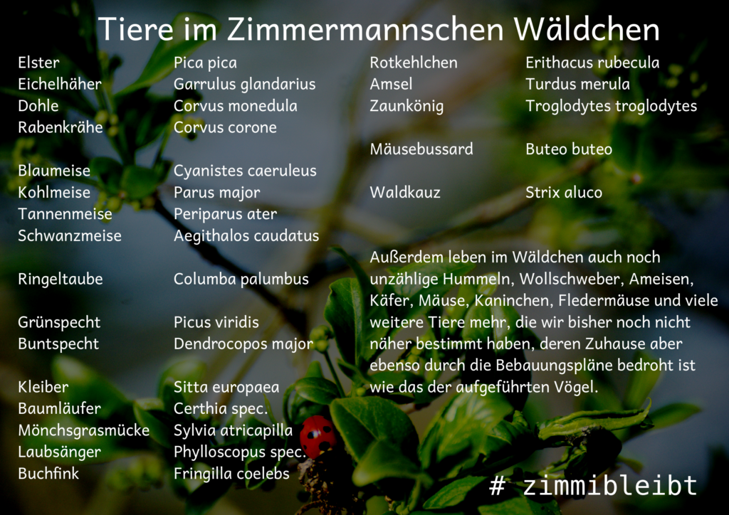 Liste der bisher im Zimmi dokumentierten Tiere