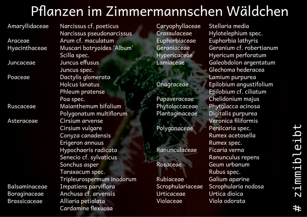 Botanische Pflanzennamen